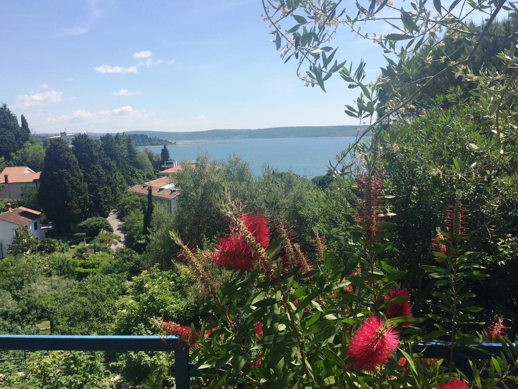 Apartments And Rooms Knez Portoroz Exterior foto